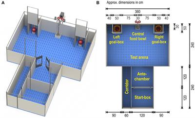 Effects of Birth Order on Performance and Affective State of Pigs